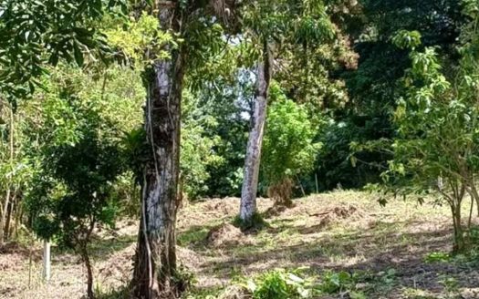 Exceptional Lake View Property in the Heart of San Luis, Tilaran – Over 3 Acres of Prime Land