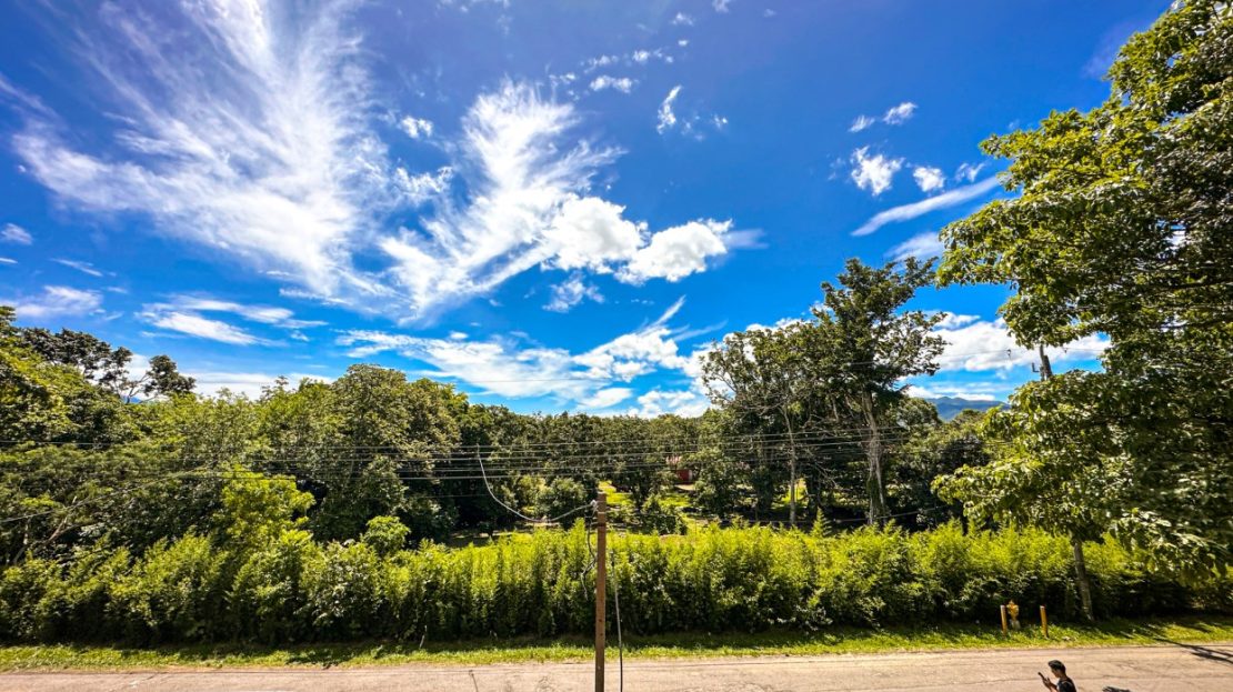 an investment opportunity.