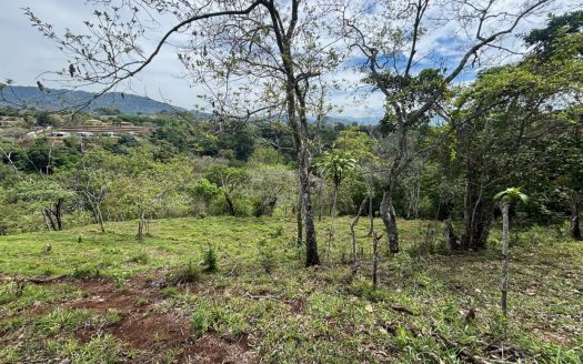 30,251m2 (7.5 acres) that can be developed in Atenas