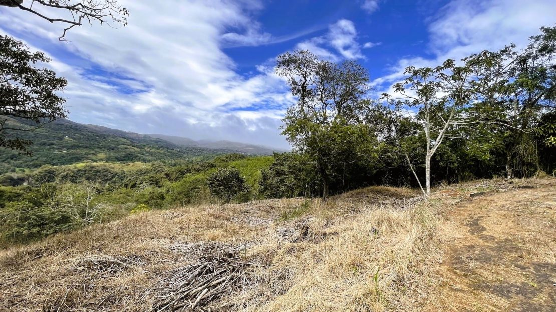 LOT FOR SALE IN SAN PEDRO