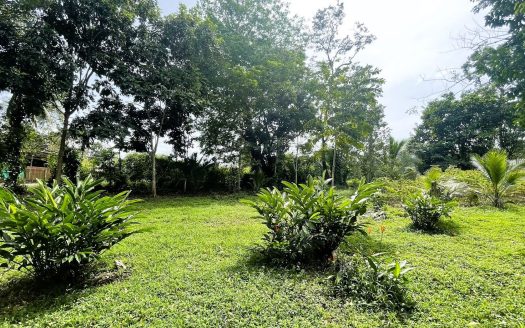 LOT FOR SALE IN CHACHAGUA, SAN RAMON