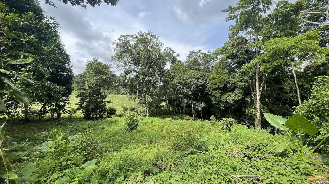 LOT FOR SALE IN CHACHAGUA