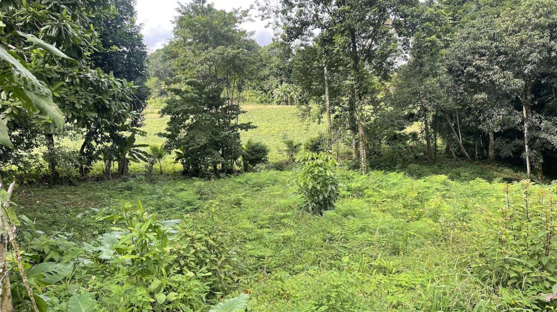 Costa Rica Real Estate