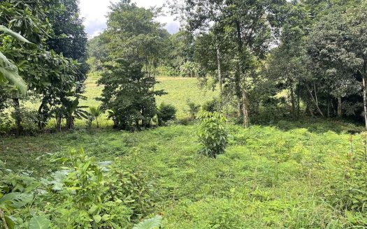 LOT FOR SALE IN CHACHAGUA, SAN RAMON