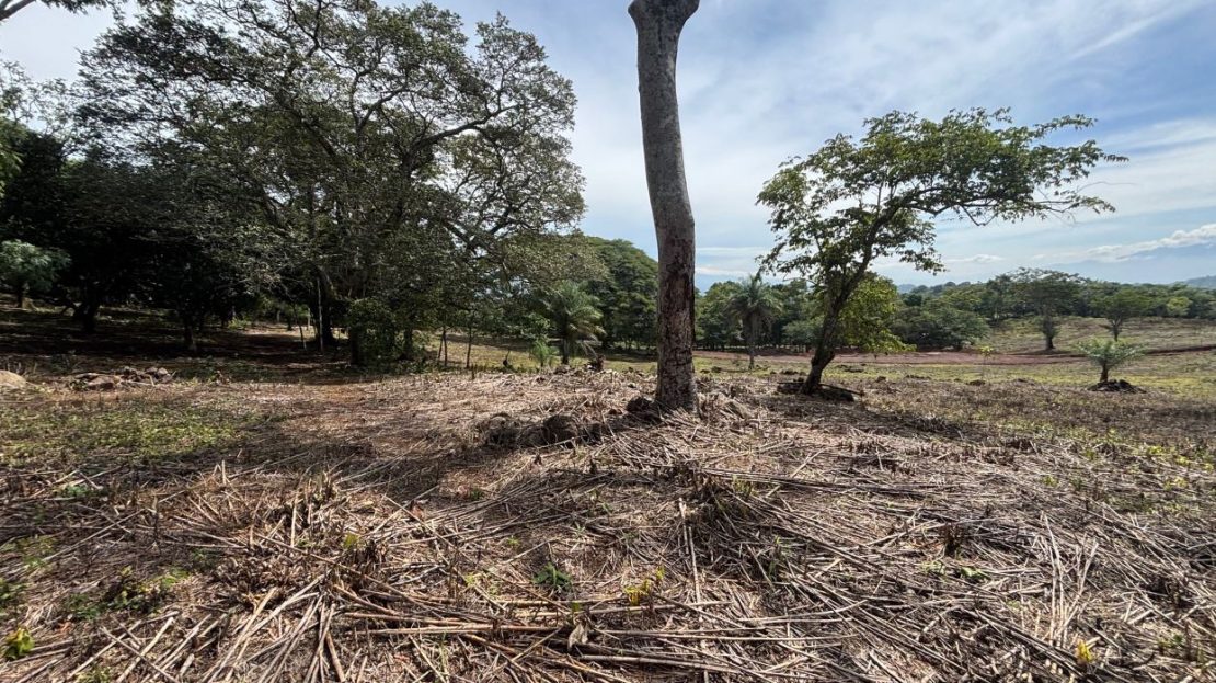 Costa Rica Real Estate