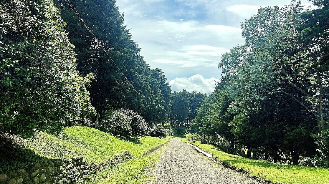 Villa de Luz for sale