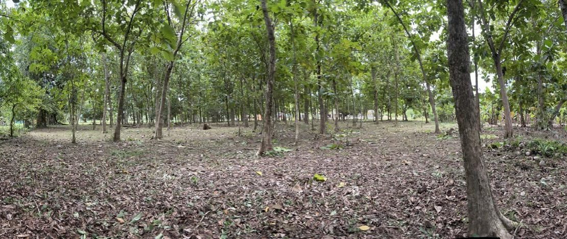 Costa Rica Real Estate