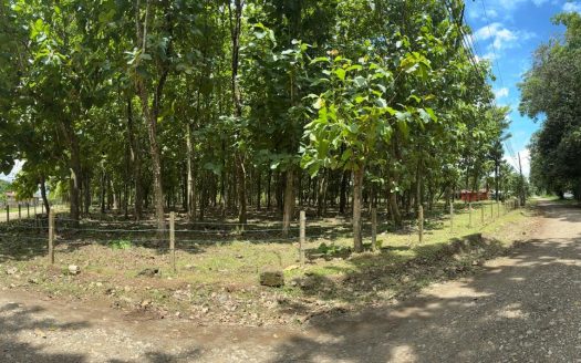 Ready-to-build flat lot in Cortez Lot 4