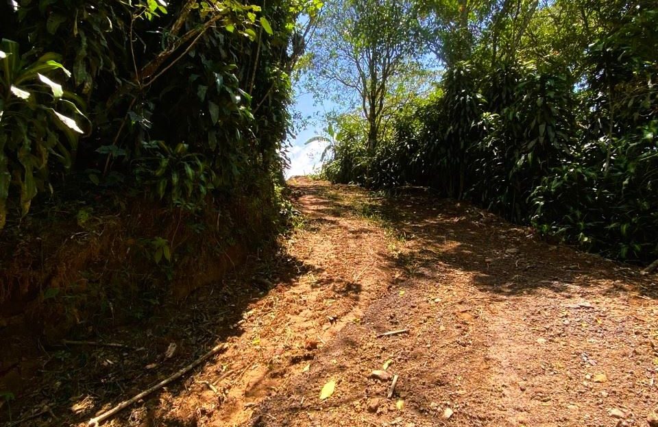 Costa Rica Real Estate