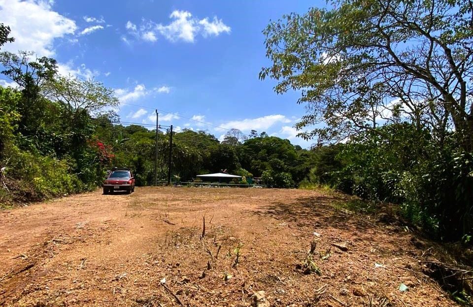 LOT FOR SALE IN SANTIAGO SAN RAMON