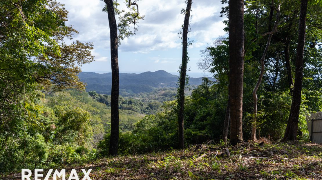 LOTE MONTANA 34 Guanacaste | REMAX