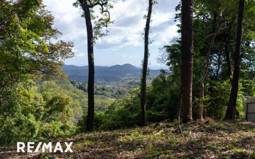 LOTE MONTANA 34 Guanacaste | REMAX