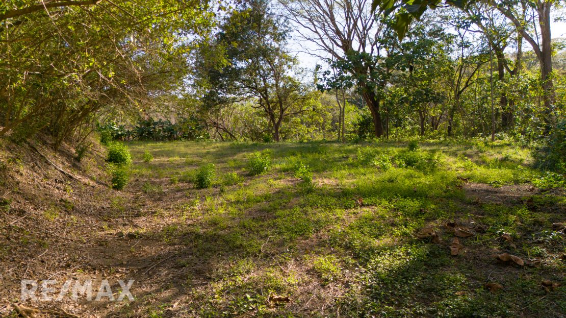 LOTE SAMARA WOODS 4 Guanacaste | REMAX