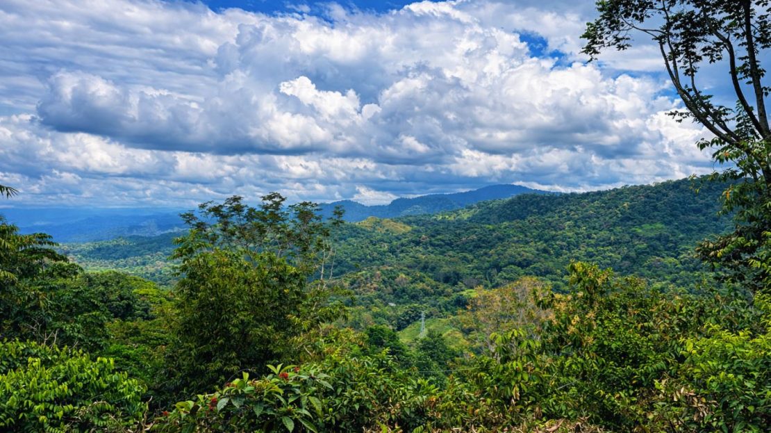 Costa Rica Real Estate