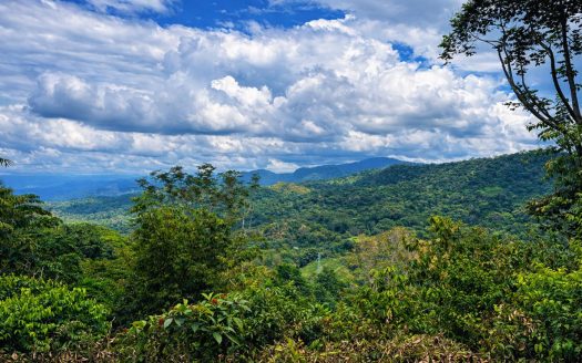 Two Premium Side-by-Side Lots at The Nest Costa Rica