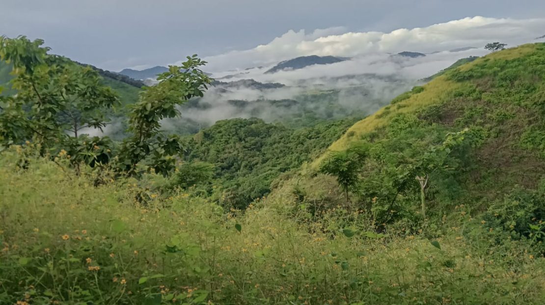 Magical 44 Hectare Estate with Domaine Magique Puntarenas | REMAX