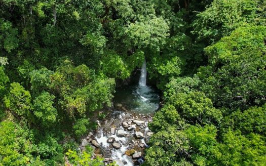 Eco-Tourism Farm for Sale in Montes de Oro – 23,7 Hectares with Ocean Views