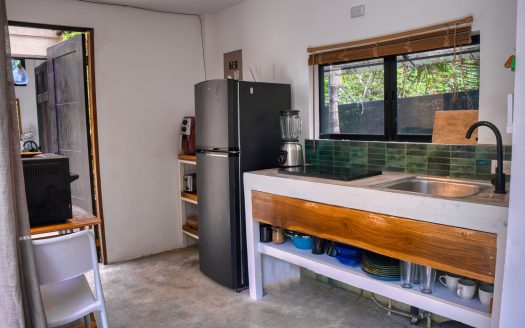 New Tropical House in L Section 2 min from Del Mar Academy