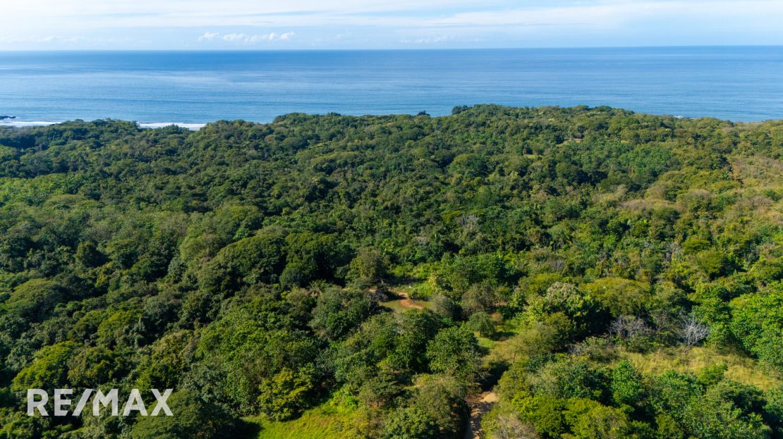 Nosara Guanacaste | REMAX