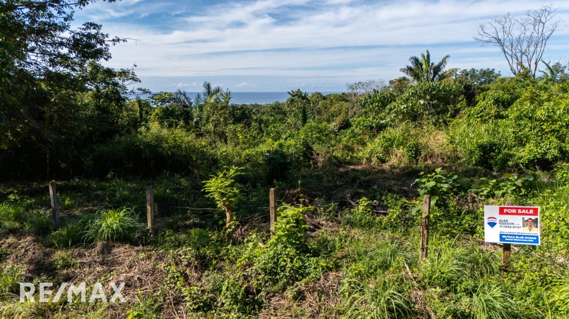 Ocean View Lot – Ostional Beach