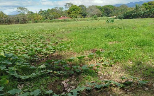 Orotina For Sale 27452 | RE/MAX Costa Rica Real Estate