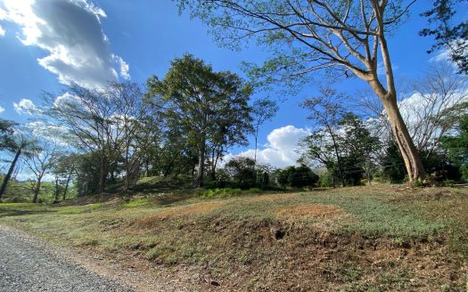 Exclusive Lots for Sale in Quintas Casa de Campo Gated Community