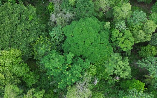 Property for Sale in Casa de Campo, Orotina – 4,136 m² in Gated Community