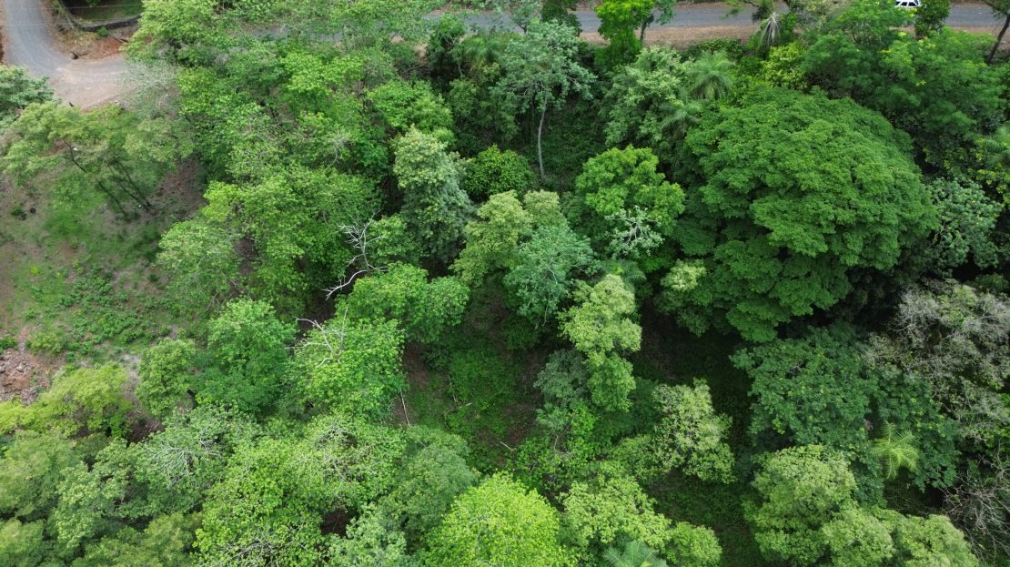 Orotina For Sale 28779 | RE/MAX Costa Rica Real Estate
