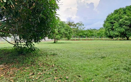 Land for Sale in Orotina – Strategic Location near Route 27