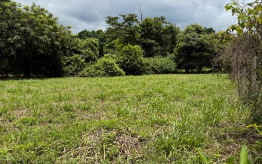 🌿 Lot for Sale in Cuatro Esquinas – Camino a Hacienda Vieja 🌿