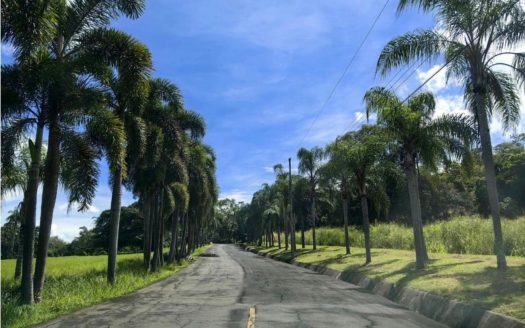 Orotina For Sale 30436 | RE/MAX Costa Rica Real Estate