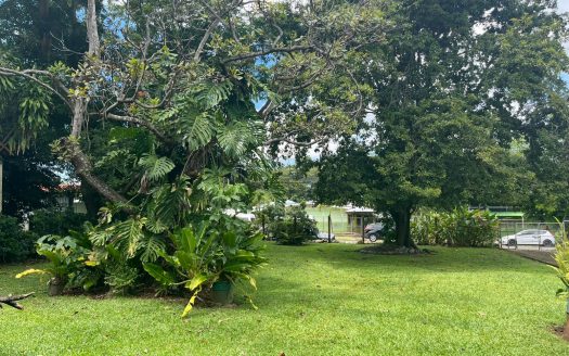 Investment Opportunity in the Heart of Orotina Town