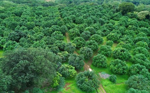 Orotina For Sale 30740 | RE/MAX Costa Rica Real Estate