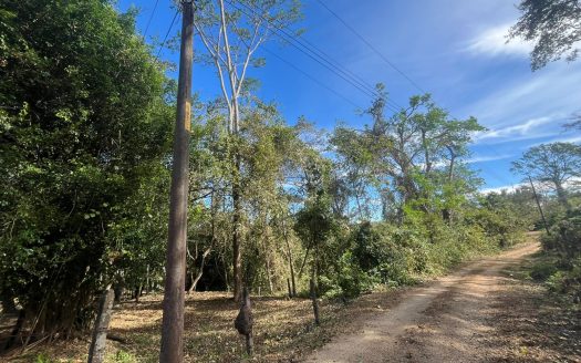 Beautiful Land for Sale in Ceiba, Orotina – High-Value Area