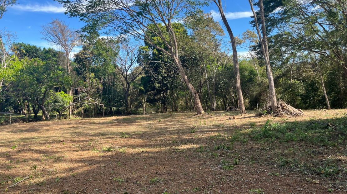 Orotina For Sale 31255 | RE/MAX Costa Rica Real Estate