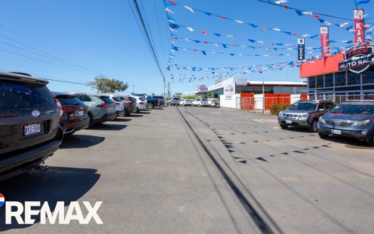 Established Automotive & Dealership Group for Sale