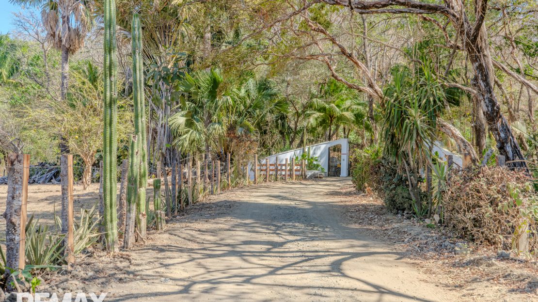 Ostional Guanacaste | REMAX