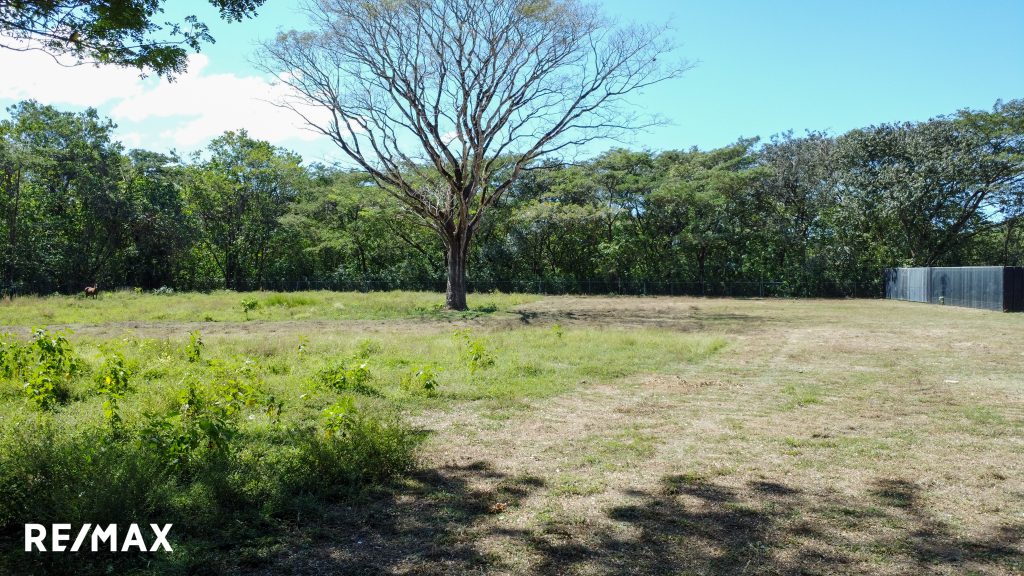 Prime Commercial Lot Next to Nosara Airport – 10,000 m² Investment Opportunity