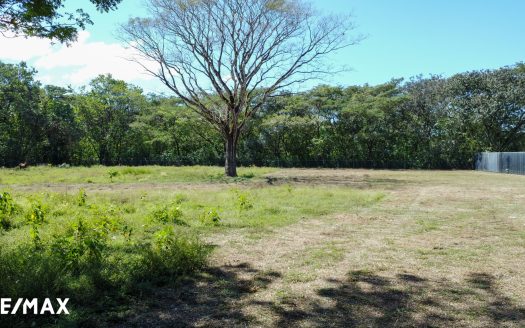 Prime Commercial Lot Next to Nosara Airport – 10