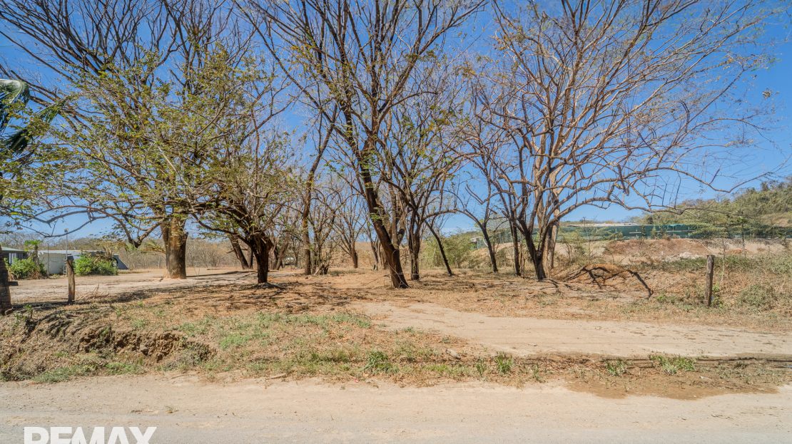 Nosara Guanacaste | REMAX