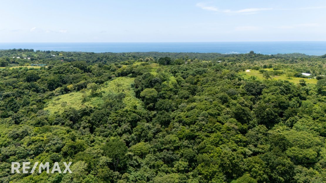 Prime Development Opportunity: Two Ocean-View 2.25 Hectare (22378 sqm) Lots each with 3 Water Letters Guanacaste | REMAX
