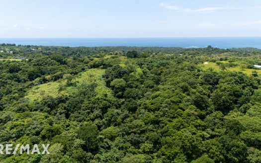 Prime Development Opportunity: Two Ocean-View 2.25 Hectare (22378 sqm) Lots each with 3 Water Letters Guanacaste | REMAX