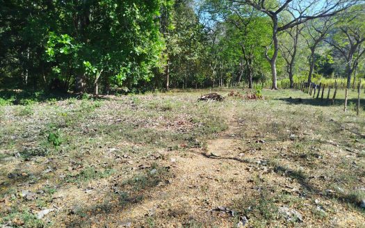 Exclusive Property for Sale in Coyolito de Manzanillo, Puntarenas 🏡🌿