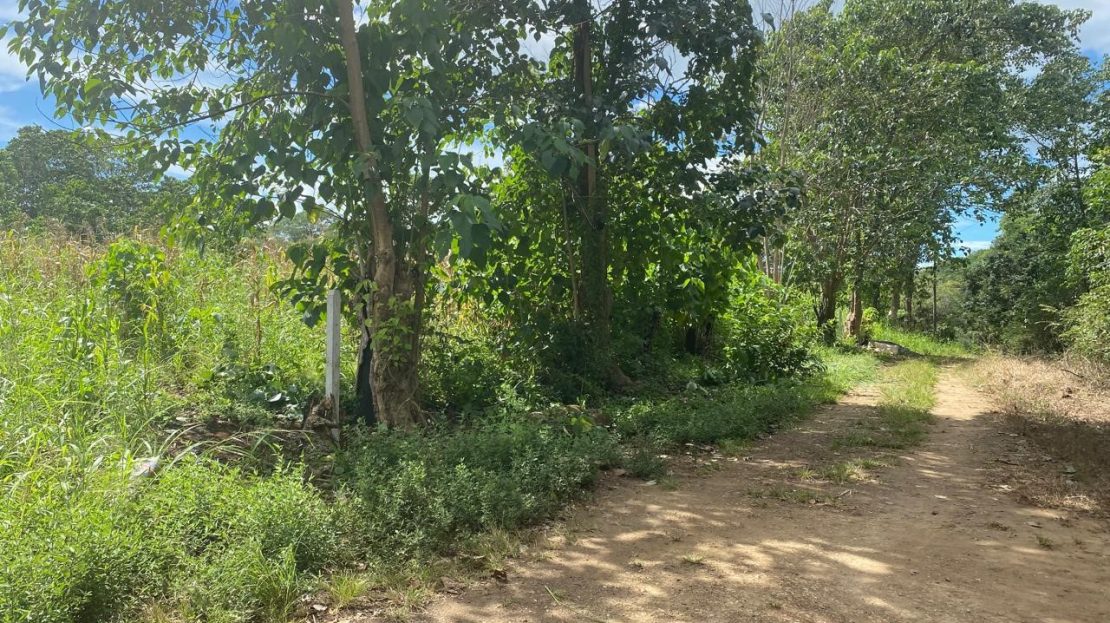 Puntarenas For Sale 31263 | RE/MAX Costa Rica Real Estate