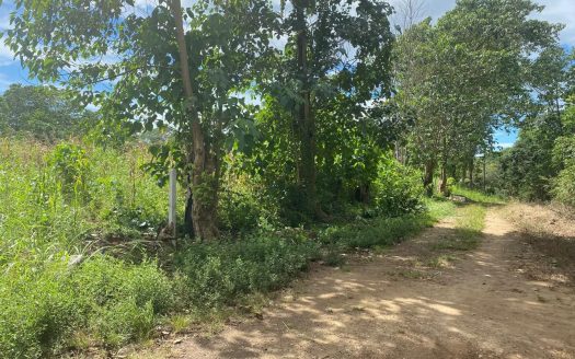 Puntarenas For Sale 31263 | RE/MAX Costa Rica Real Estate