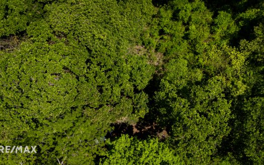 RESERVA CARRILLO Guanacaste | REMAX