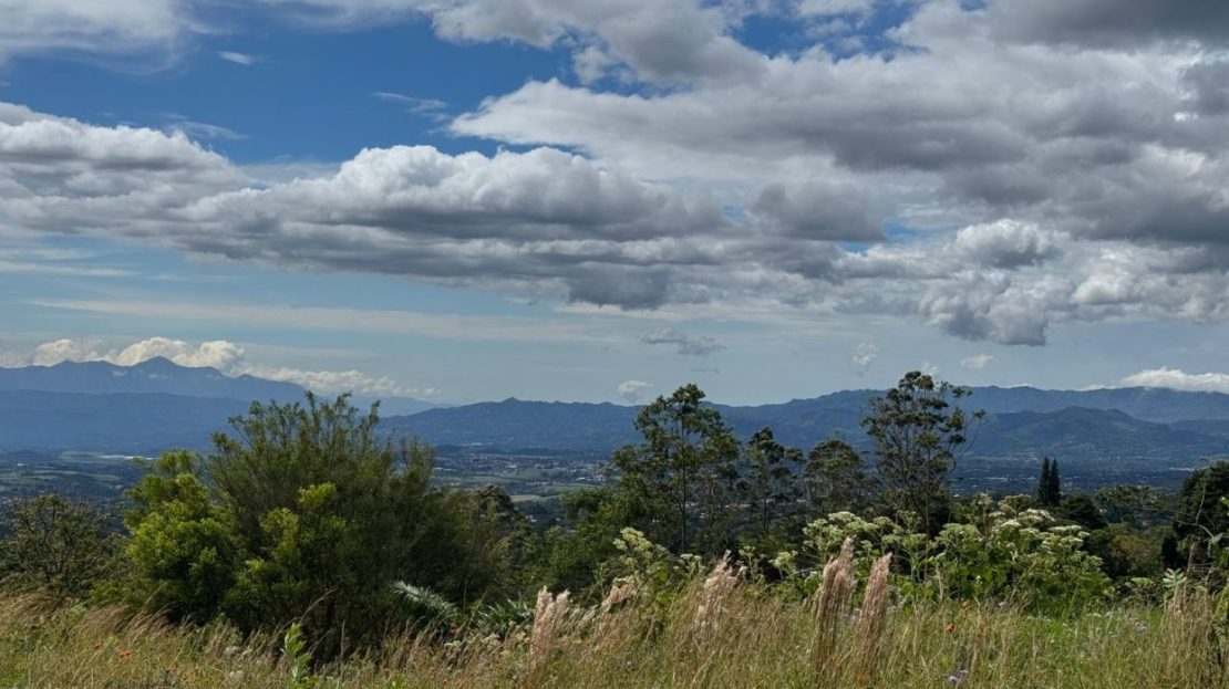 Amazing Land For Sale