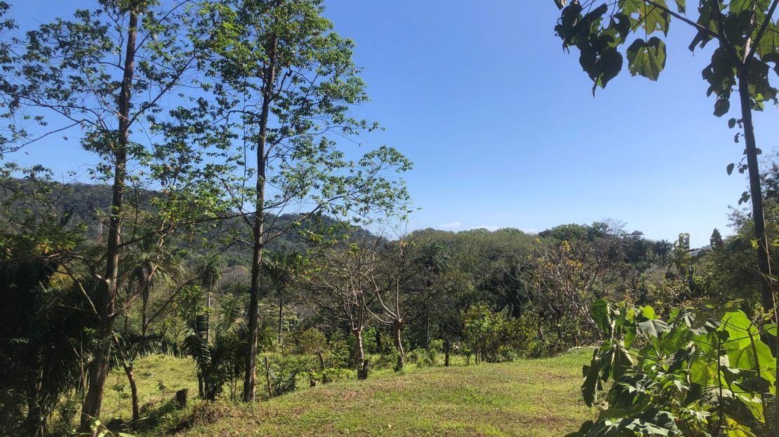 SPECTACULAR LOT IN ESTRADA!!! Guanacaste | REMAX