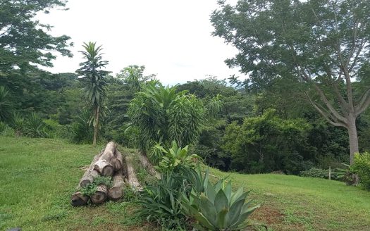 Espectacular Quinta en Venta 5050 metros / Precio de oportunidad / San Mateo