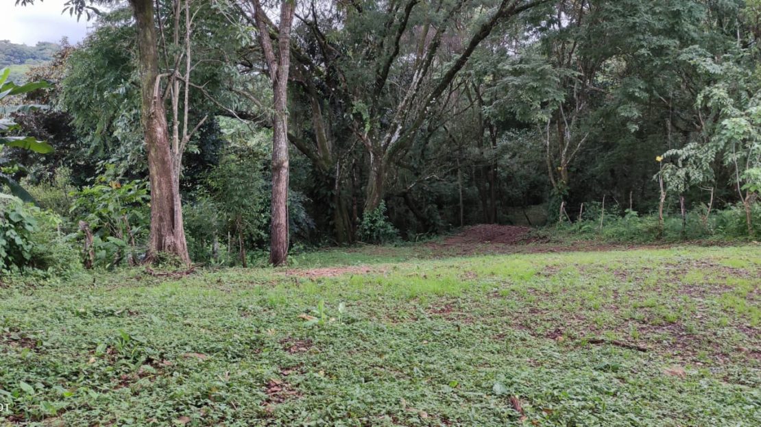 San Mateo For Sale 27459 | RE/MAX Costa Rica Real Estate